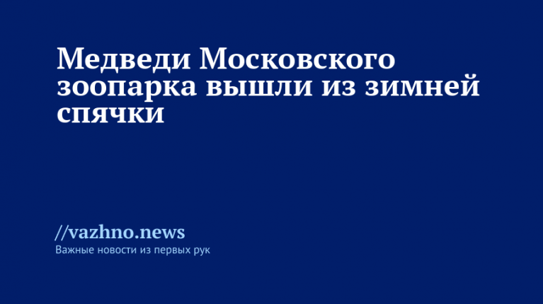 Медведи в столичном зоопарке проснулись