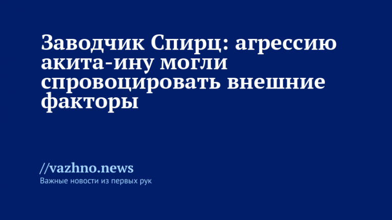 Заводчик Спирц агрессию акита-ину могли спровоцировать внешние факторы