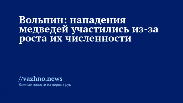 Вольпин: нападения медведей участились из-за роста численности