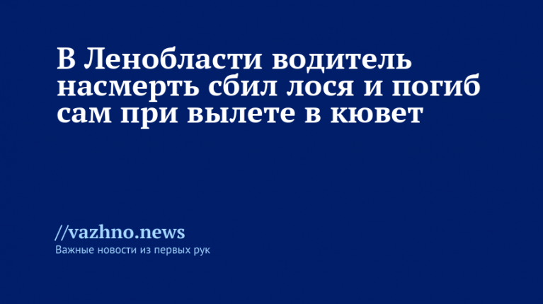 В Ленобласти водитель сбил лося насмерть и погиб в кювете